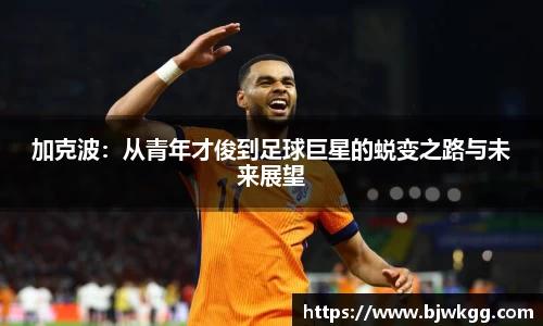 jn体育官网